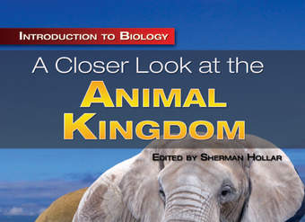A Closer Look at the Animal Kingdom