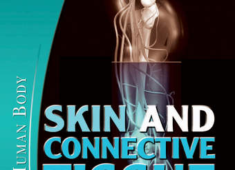 Skin and Connective Tissue