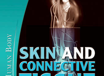 Skin and Connective Tissue
