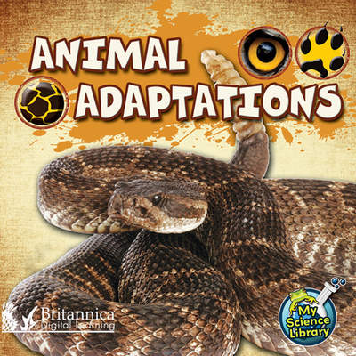 Animal Adaptations