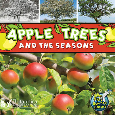 Apple Trees and the Seasons