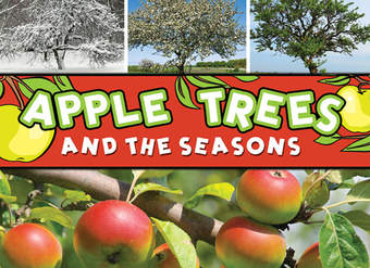 Apple Trees and the Seasons