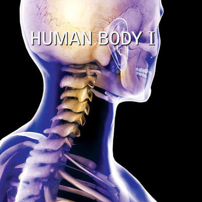 Human Body I