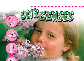 Our Senses