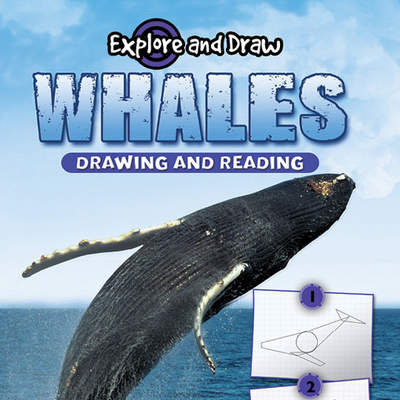 Whales