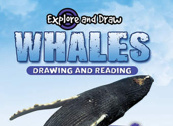 Whales