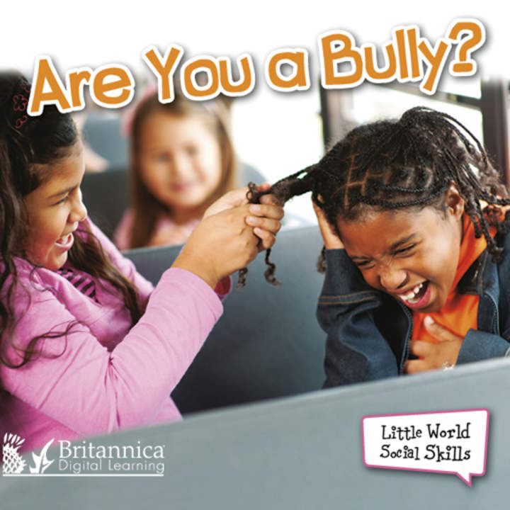 Are You a Bully?