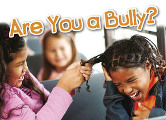 Are You a Bully?