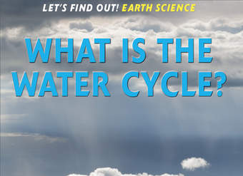 What Is the Water Cycle?