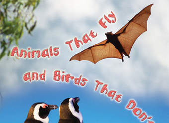 Animals That Fly and Birds That Don't