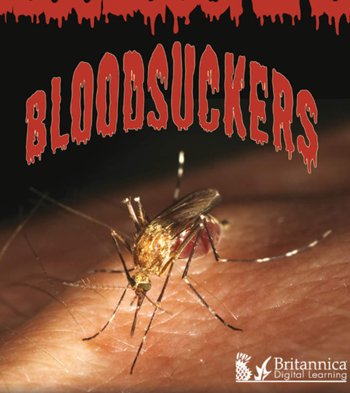 Bloodsuckers