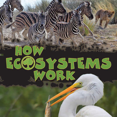 How Ecosystems Work