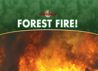 Forest Fire!