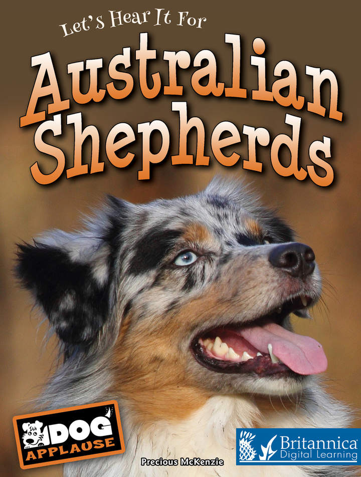 Australian Shepherds