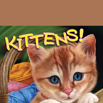 Know-It-Alls! Kittens