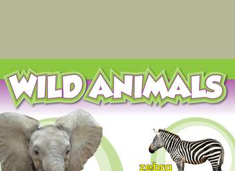 Wild Animals