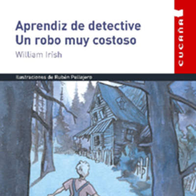 Aprendiz de detective