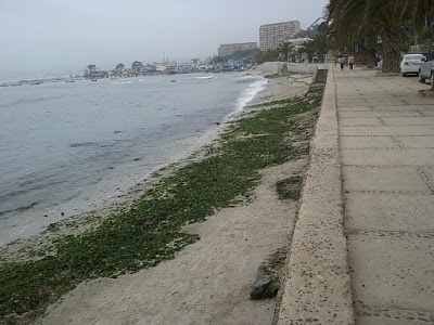 Playa Los Tubos. Fuente Algarrobo Digital