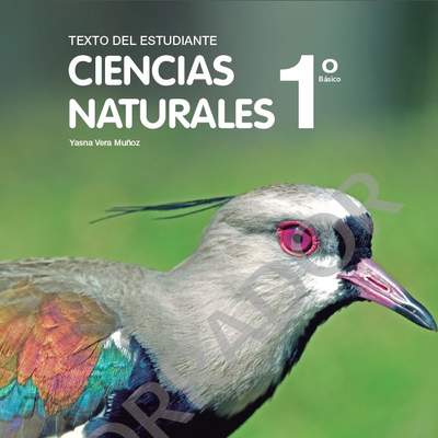 Texto del Estudiante - Ciencias Naturales 1°básico