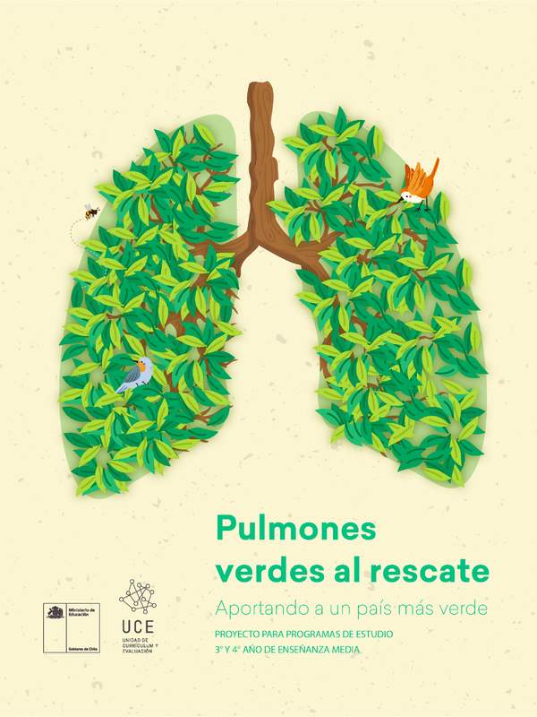 Pulmones verdes al rescate: Aportando a un país más verde