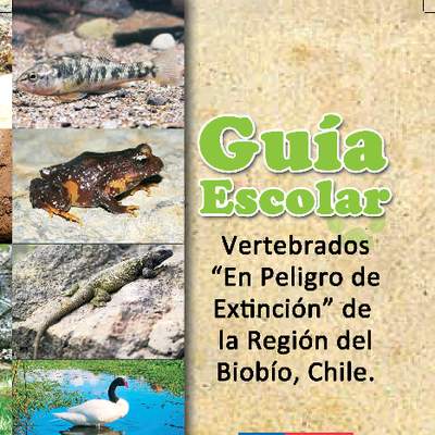 Guía escolar: especies en peligro Biobio