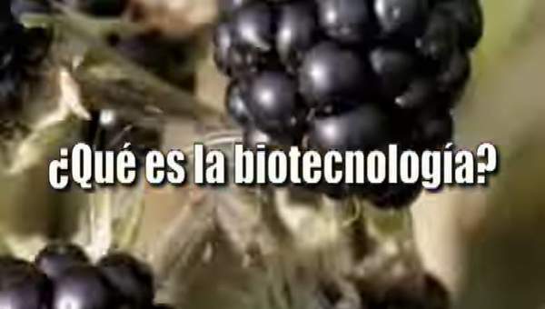 Biotecnología