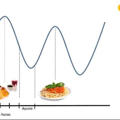 Homeostasis