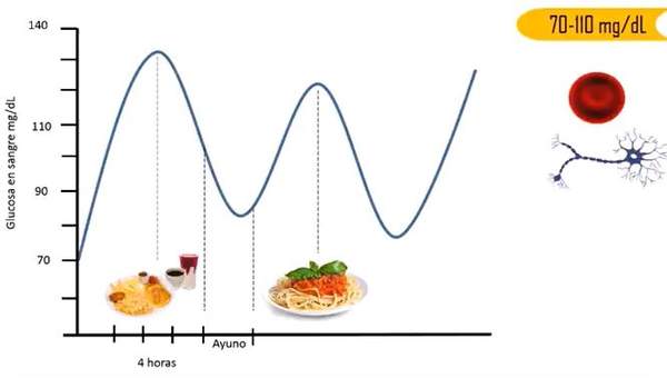 Homeostasis