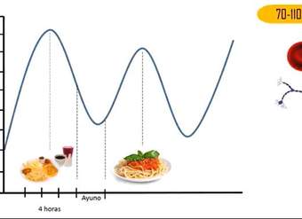 Homeostasis