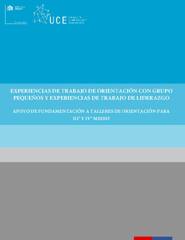 Experiencias de trabajo de orientación con grupo pequeños y Experiencias de trabajo de liderazgo