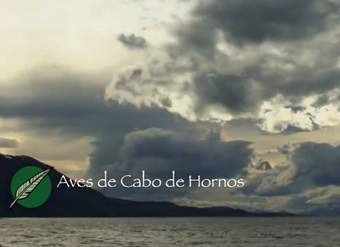 Cabo de Hornos: Cultura y naturaleza, aves