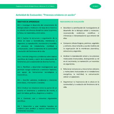 Actividad de evaluación: Procesos celulares en acción