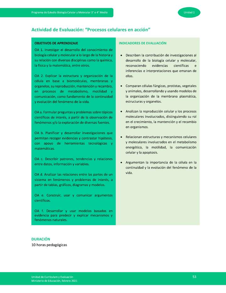 Actividad de evaluación: Procesos celulares en acción - Curriculum  Nacional. MINEDUC. Chile.