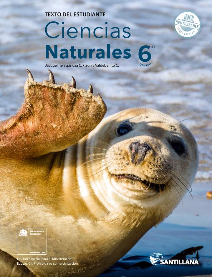Libro de Ciencias Naturales 6 Basico