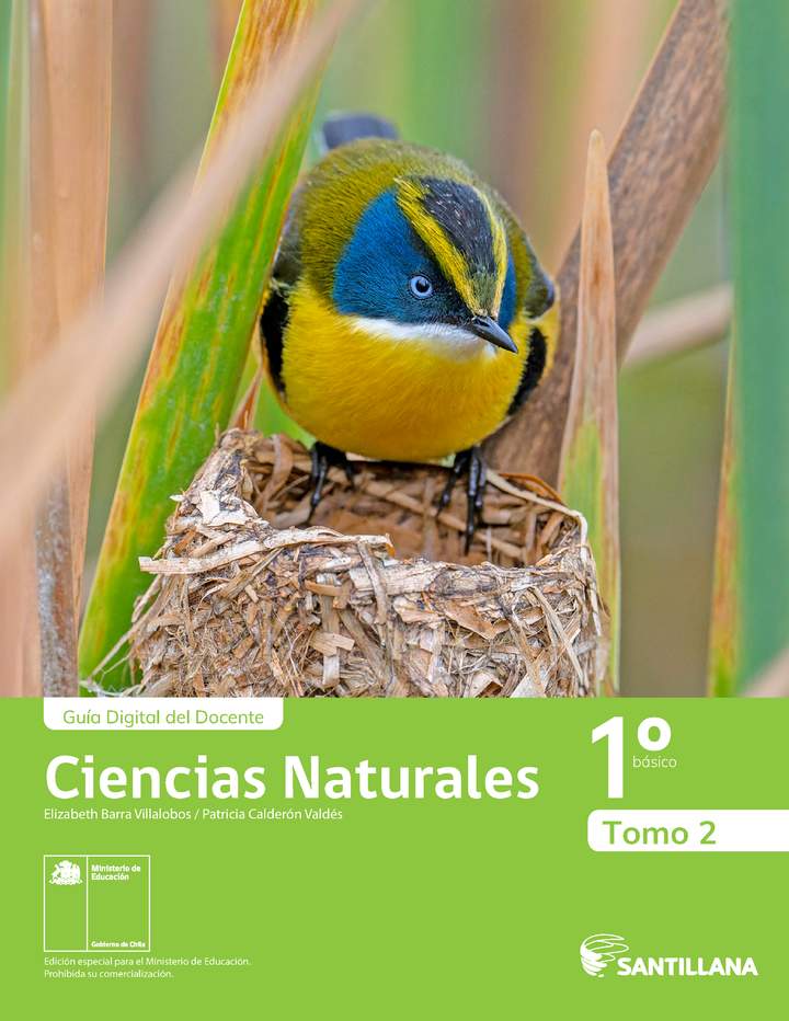 Ciencias Naturales 1° Básico, Portada Guía didáctica del docente Tomo 2