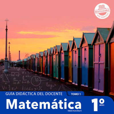 Matemática 1° medio, Guía didáctica del docente Tomo 1