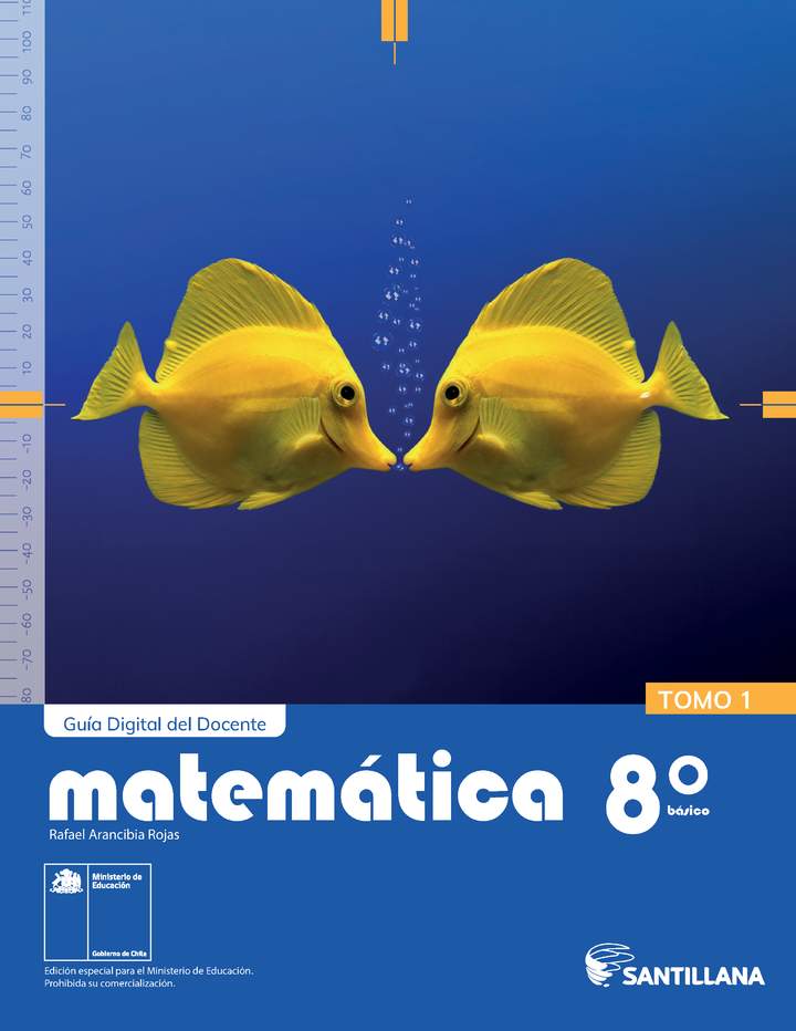 Respuestas del Libro de Matematicas 8 Basico