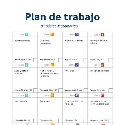 Plan de trabajo Matemática 8° básico