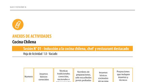 ANEXO DE ACTIVIDADES COCINA CHILENA