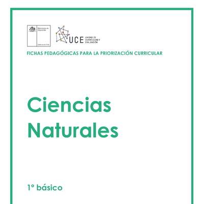 Ficha Pedagógica: Ciencias Naturales 1 ° básico