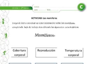 Los Mamíferos