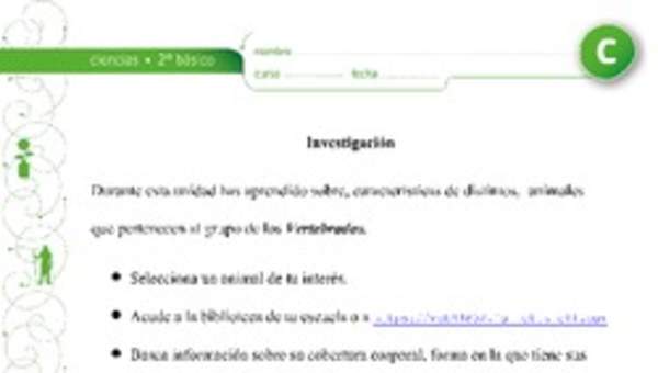 Investigación de un animal