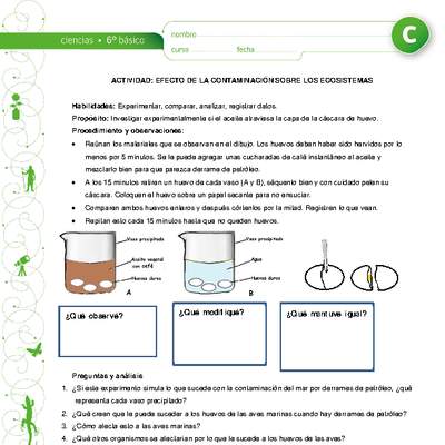 Contaminación y ecosistema