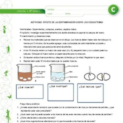 Contaminación y ecosistema