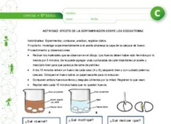 Contaminación y ecosistema