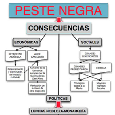 Mapa conceptual consecuencias peste negra