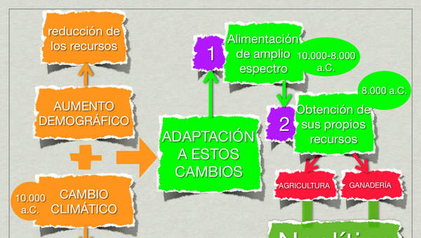 Mapa conceptual Neolítico