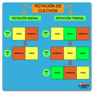 Esquema rotación de cultivos