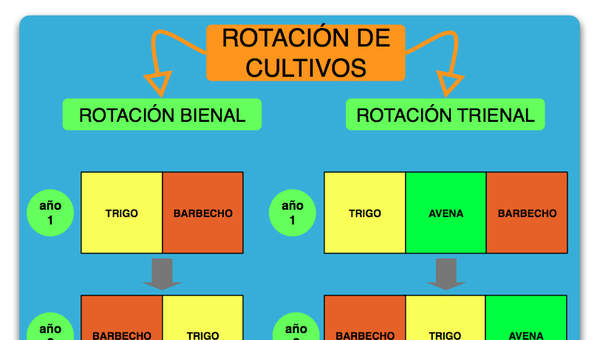 Esquema rotación de cultivos