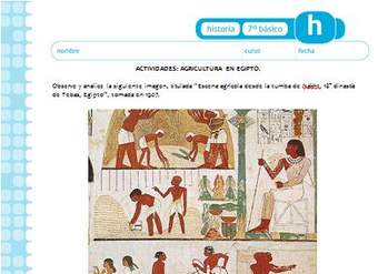 Agricultura en Egipto